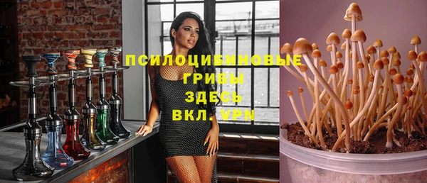 MDMA Premium VHQ Каменногорск