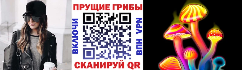 Купить  Северск  Галлюциногенные грибы мицелий 
